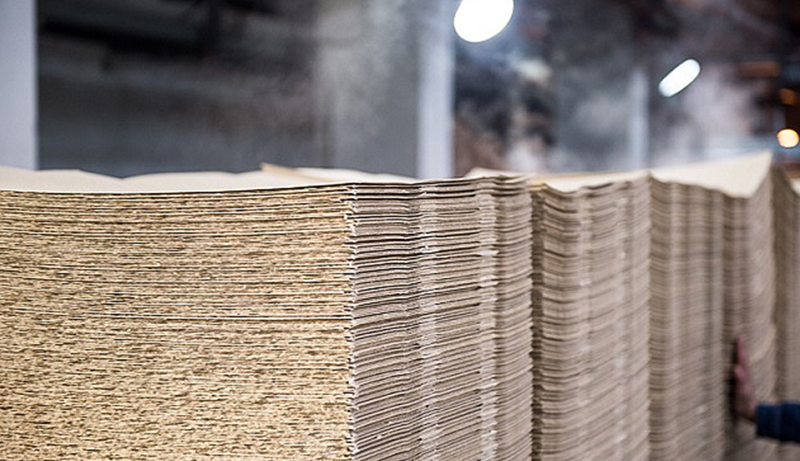 مشروع شاندونغ ريزاو لب