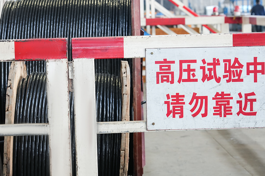 Yangzhou Yaguang Cable Co. ، Ltd.